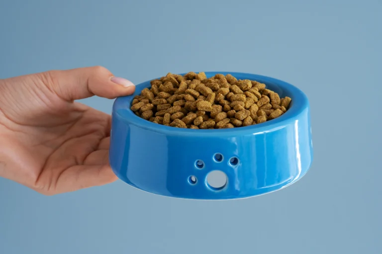 dog feeding Schedule