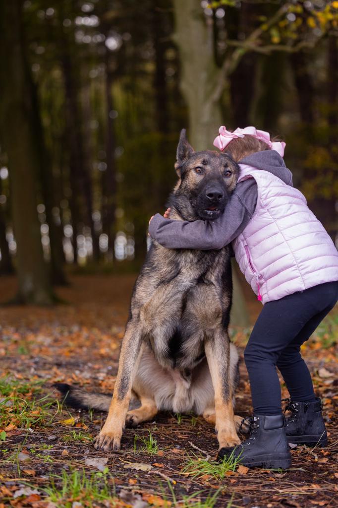 Wim Family Protection Dog 4